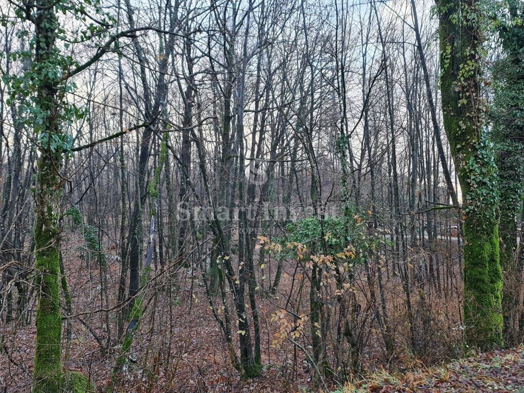 Image 6223792 - 2