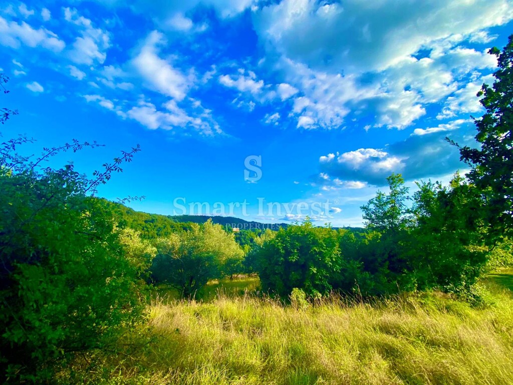 Image 6223809 - 2