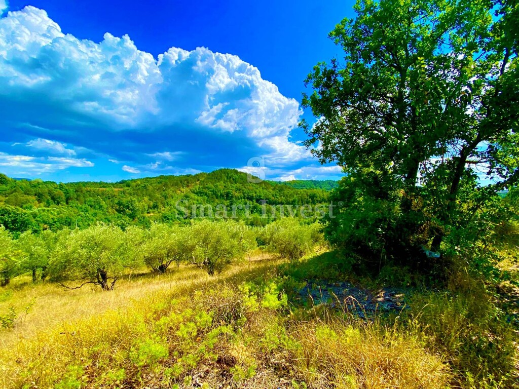 Image 6223809 - 1