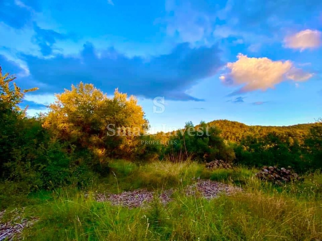 Image 6223809 - 10