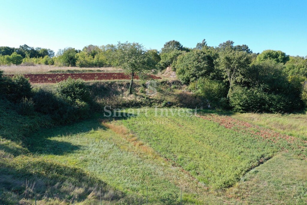 Image 6223816 - 4