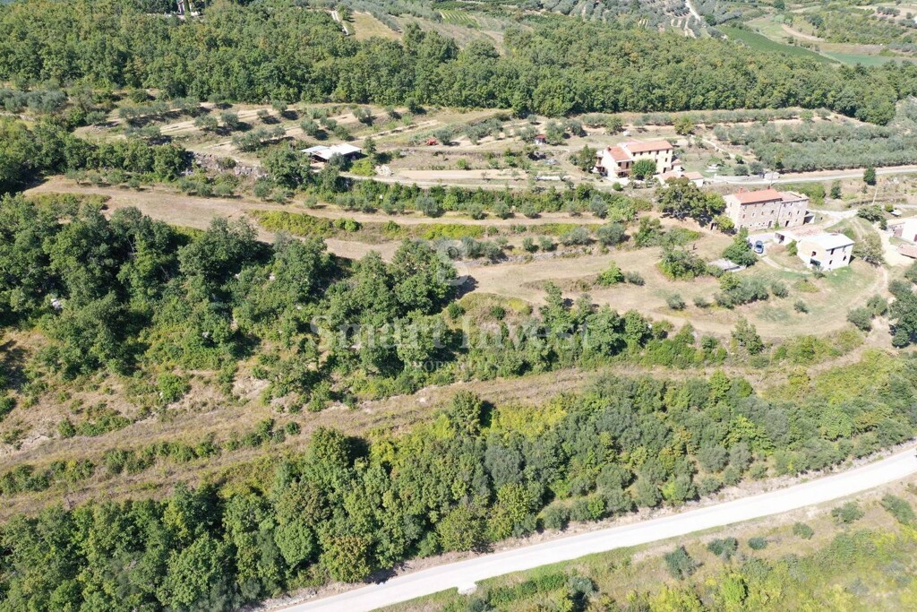 Image 6223818 - 1