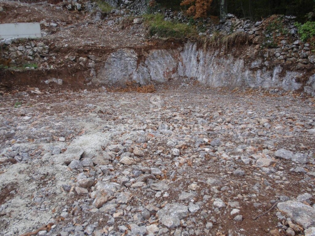 Image 6223823 - 1