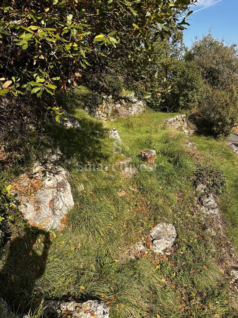Image 6223824 - 6