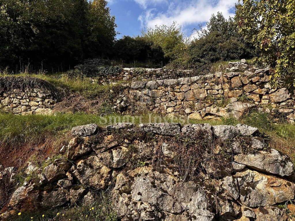 Image 6223824 - 2