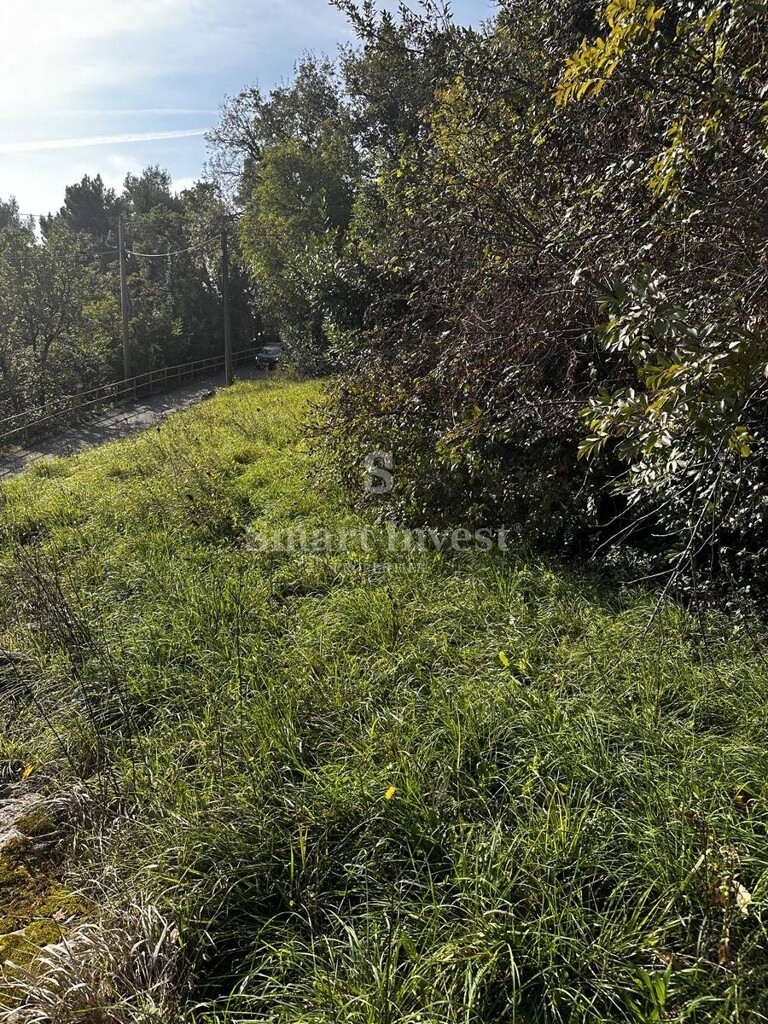 Image 6223825 - 8