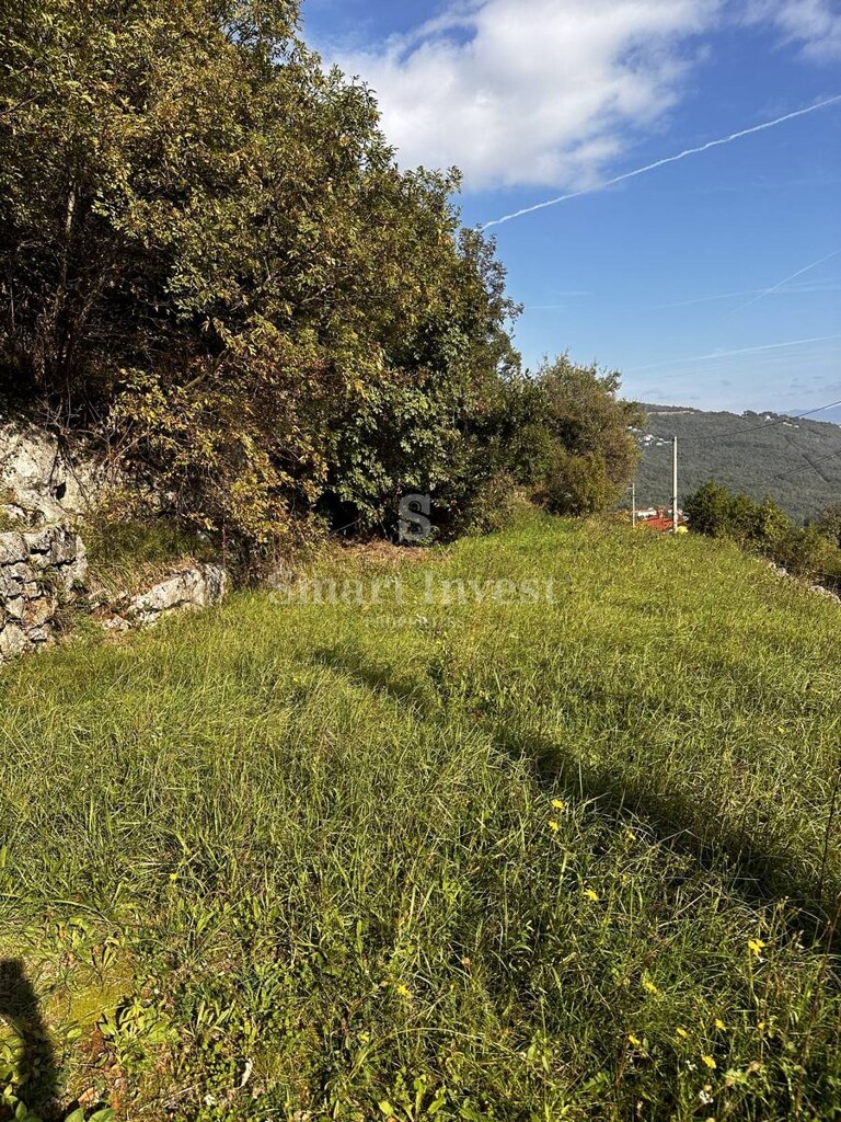Image 6223825 - 6