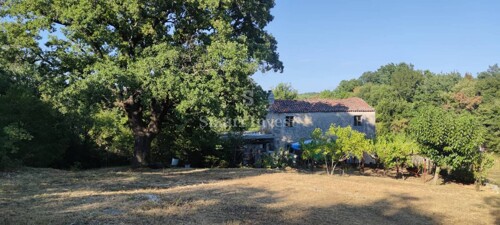RABAC - ISTRA, IMANJE 27800 M2 S KAMENOM KUĆOM SAMO 4 KM OD