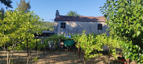 RABAC - ISTRA, IMANJE 27800 M2 S KAMENOM KUĆOM SAMO 4 KM OD