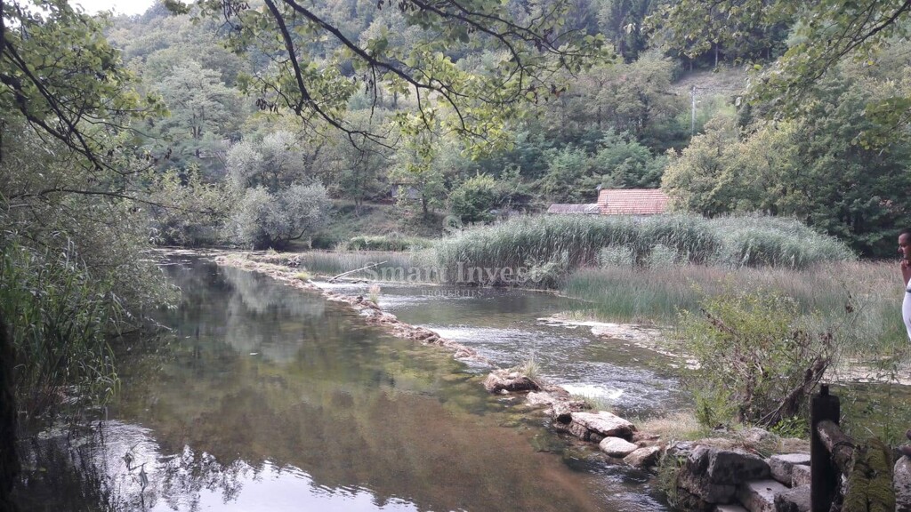 Image 6223845 - 4