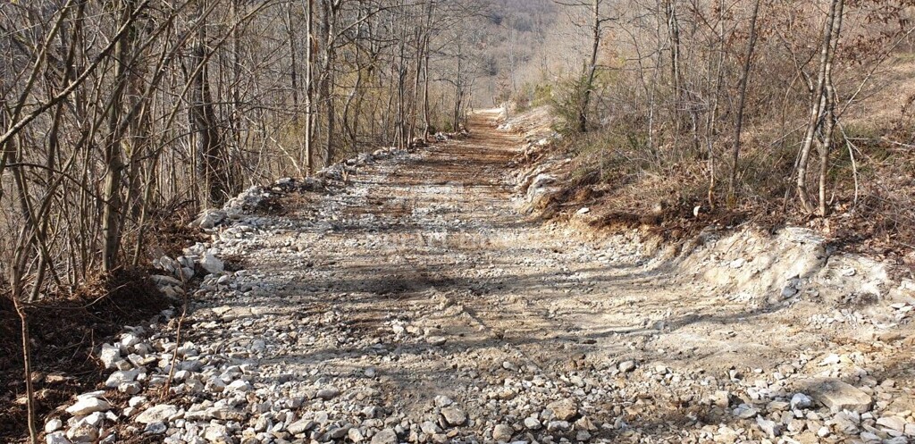 Image 6223845 - 18