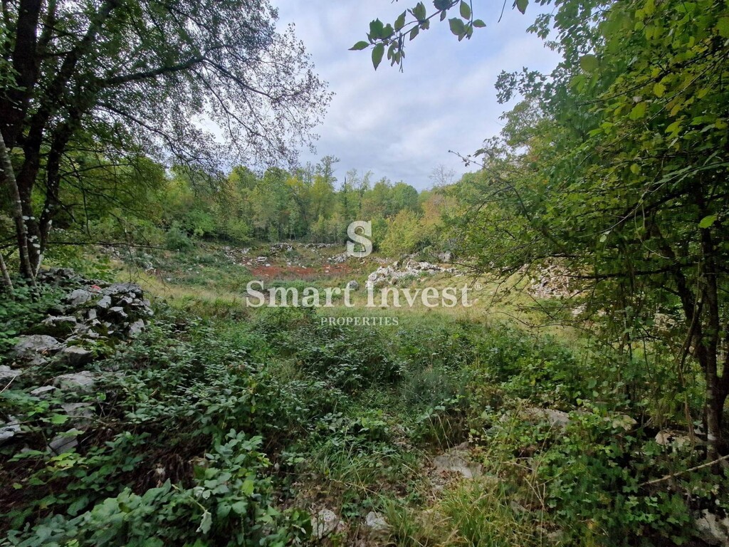 Image 6223850 - 1