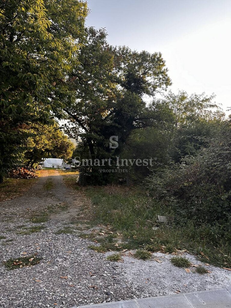 Image 6223857 - 4
