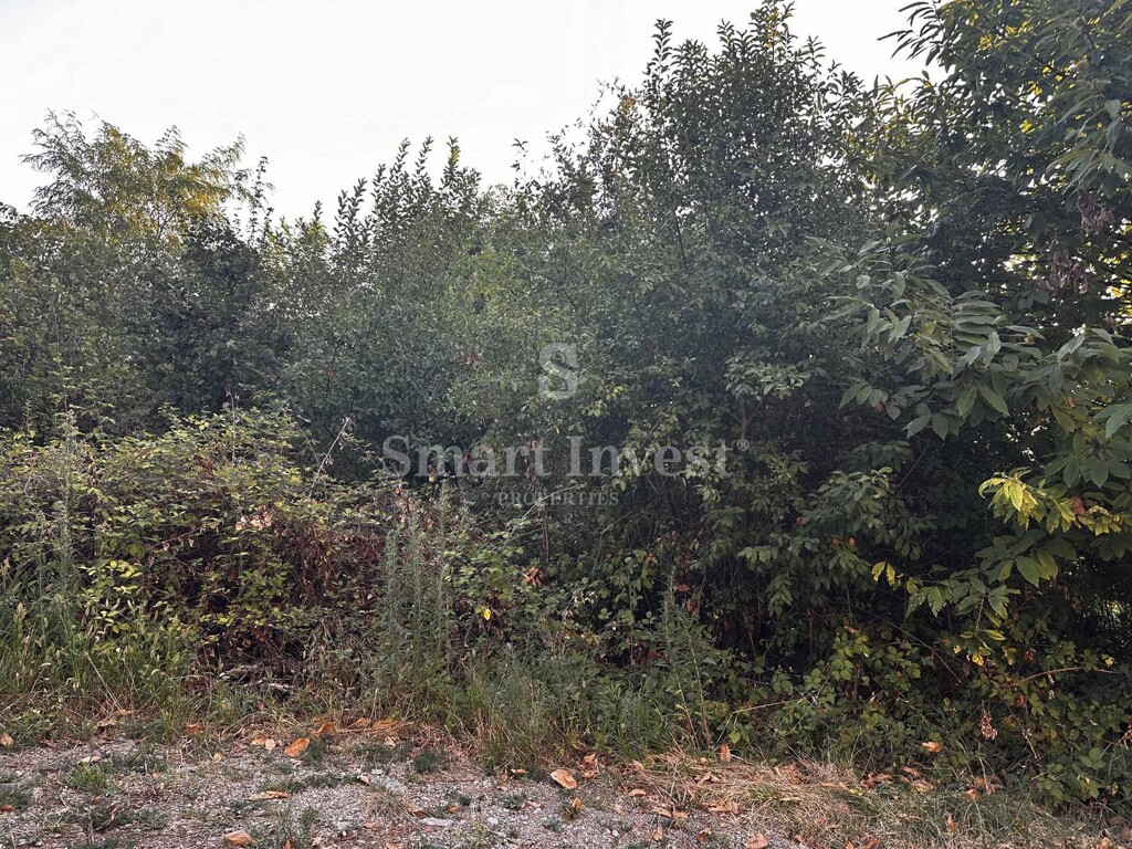 Image 6223857 - 2