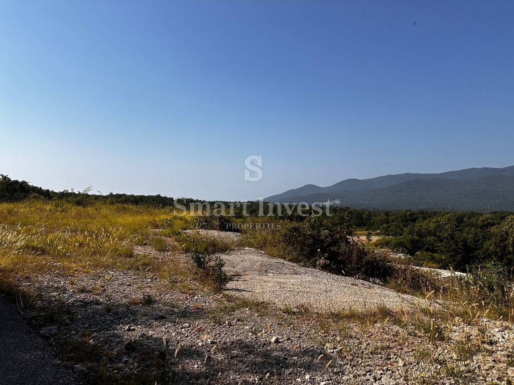 Image 6223858 - 1