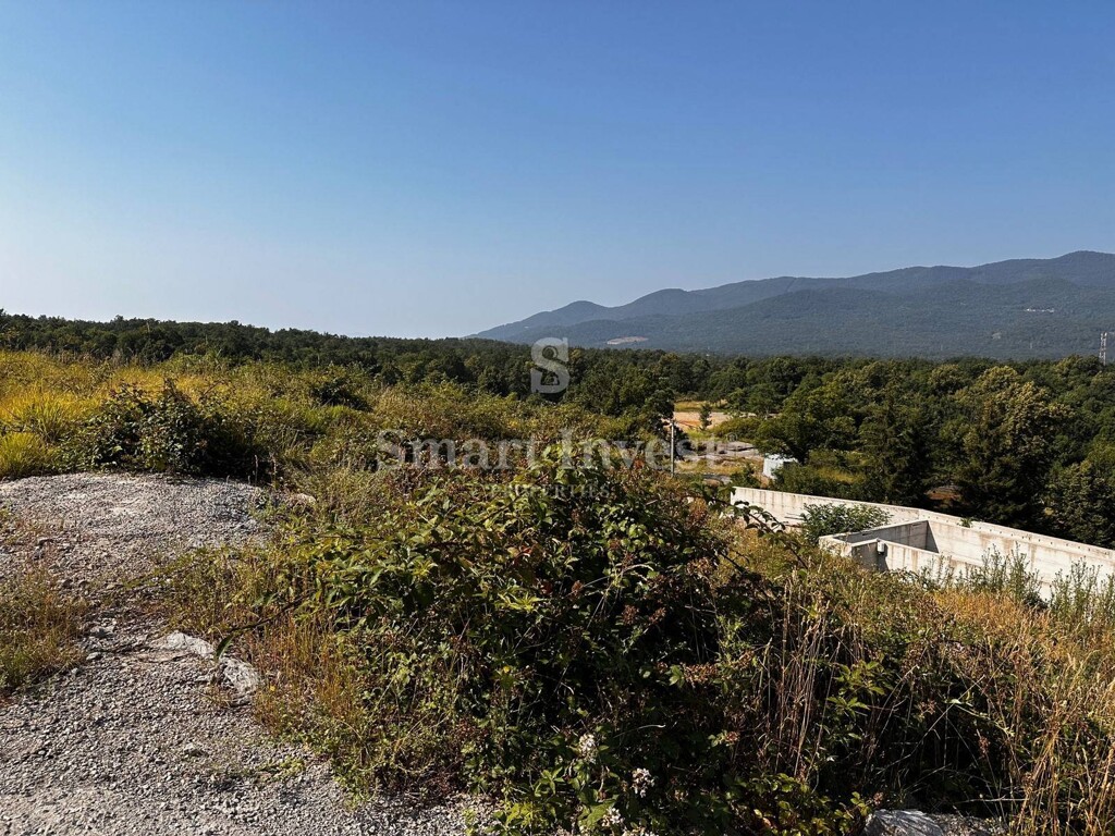 Image 6223858 - 4