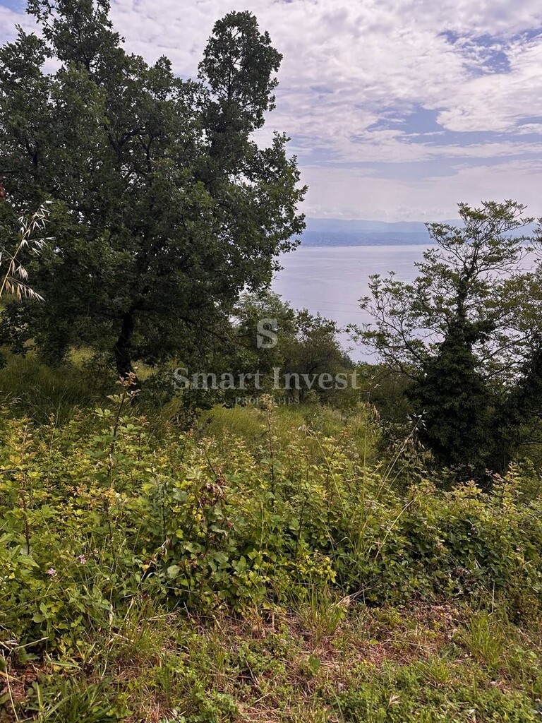 Image 6223892 - 12
