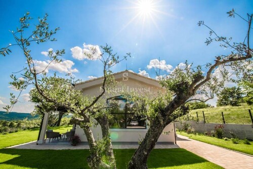 Thumbnail 6223894 - 6