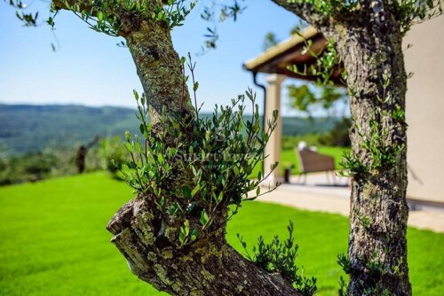 Thumbnail 6223894 - 20