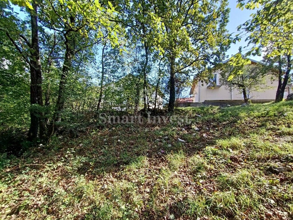Image 6223935 - 6