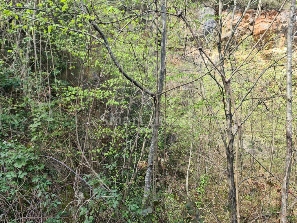 Image 6223941 - 4