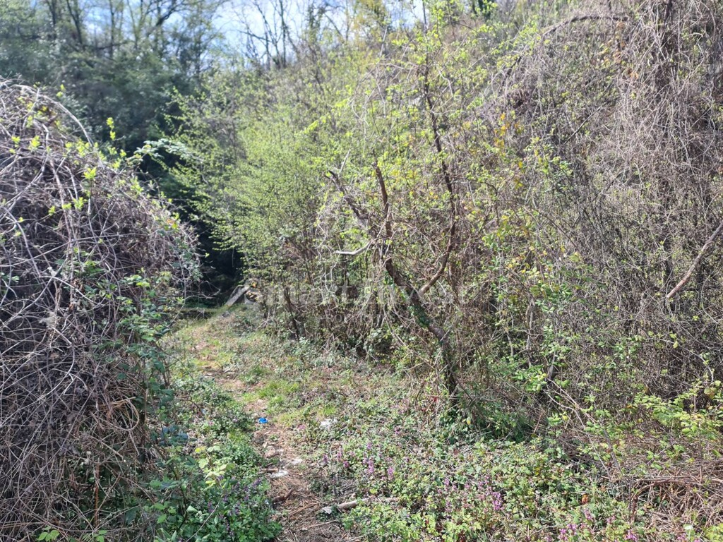 Image 6223941 - 2