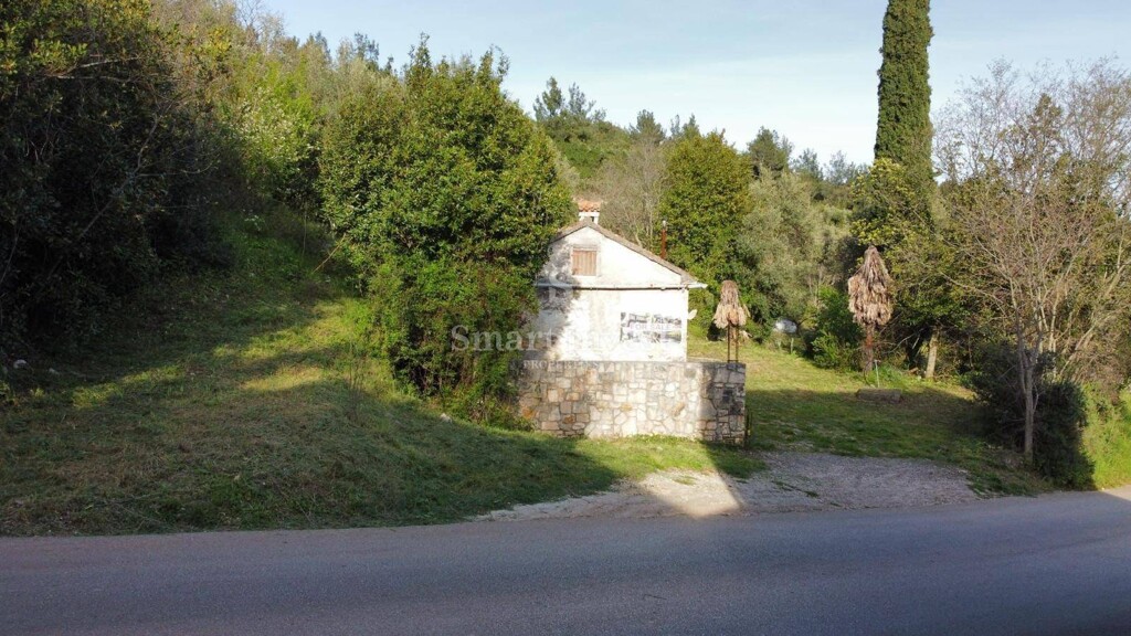Image 6223971 - 2