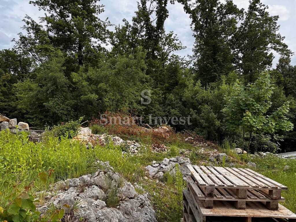 Image 6223982 - 2