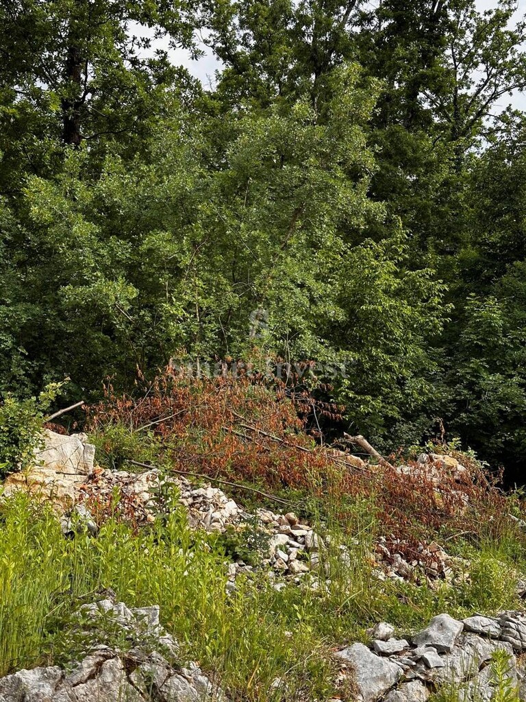 Image 6223982 - 4