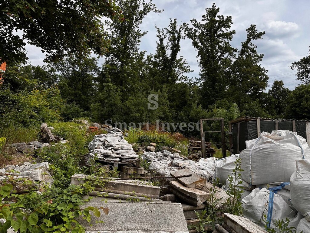 Image 6223982 - 1
