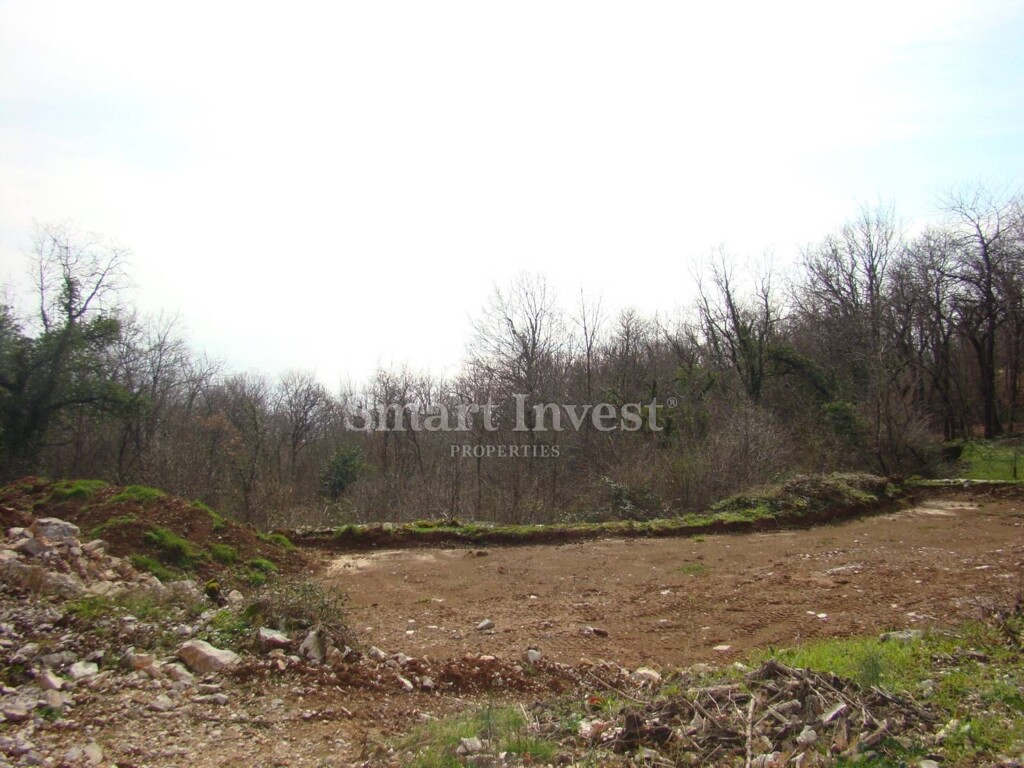 Image 6223989 - 2
