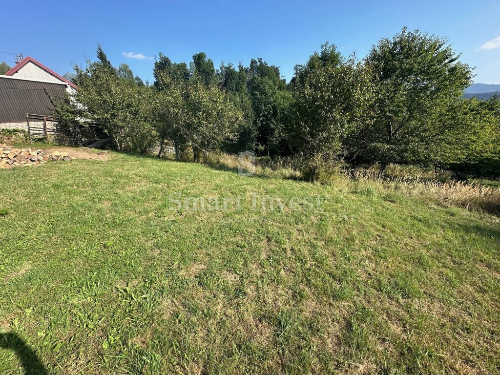Image 6223991 - 1