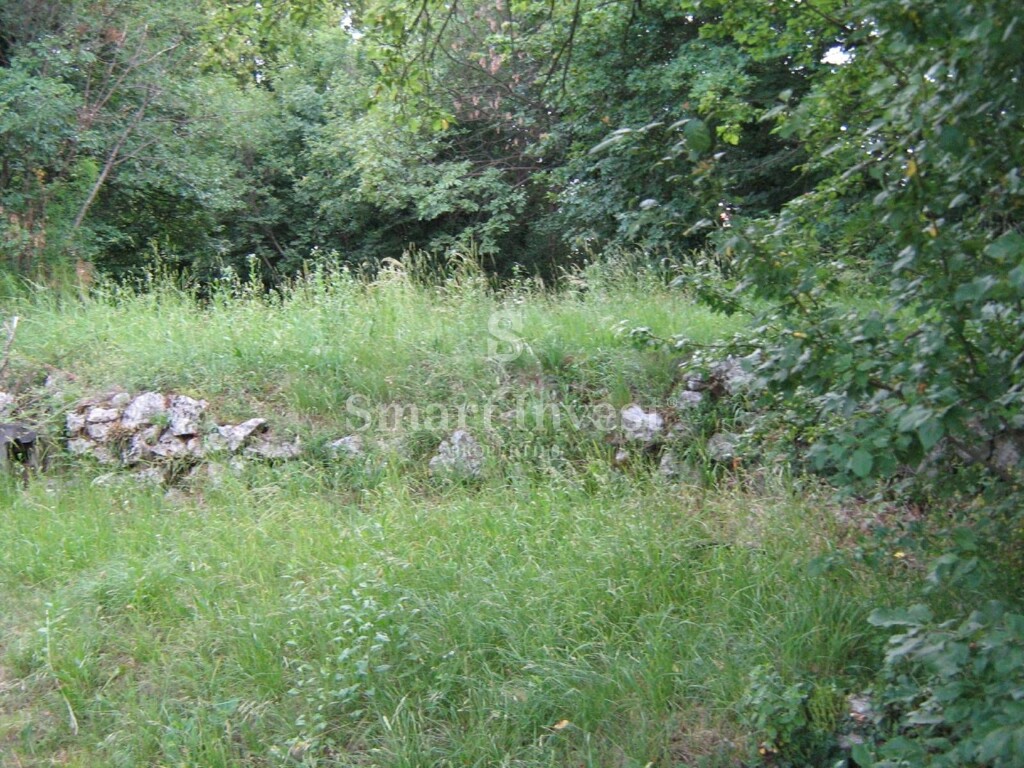 Image 6224063 - 6