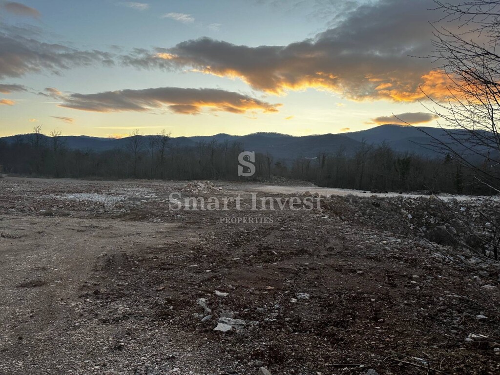 Image 6224071 - 1
