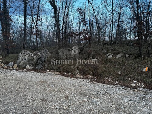 Thumbnail 6224072 - 5