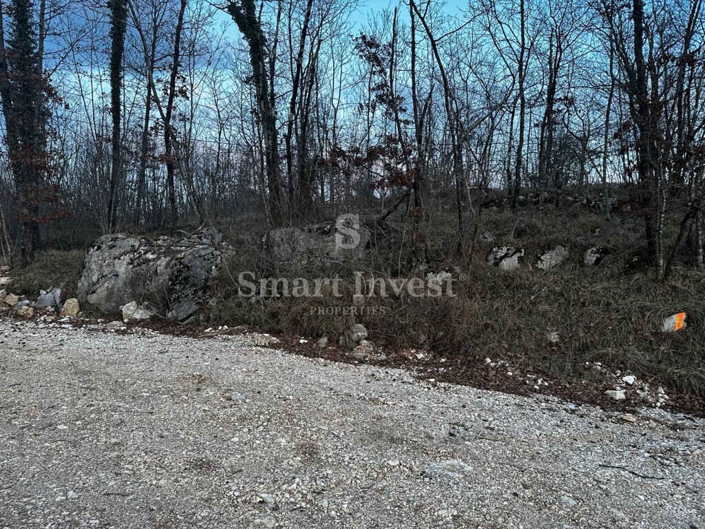 Image 6224072 - 5