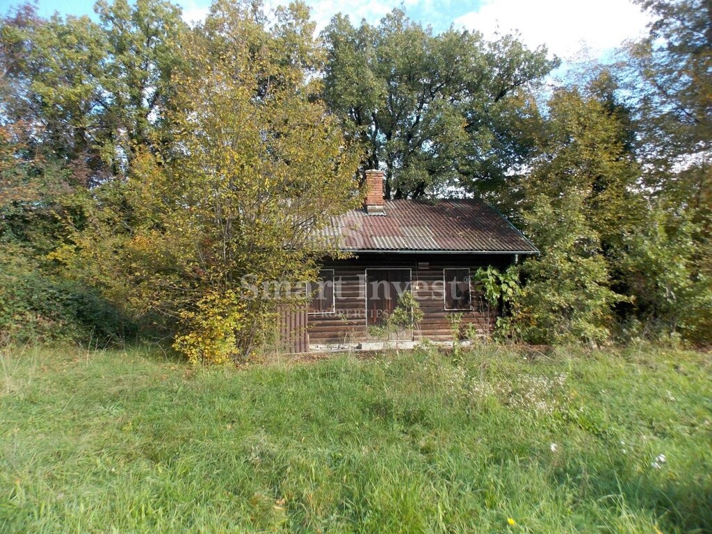 Image 6224090 - 1