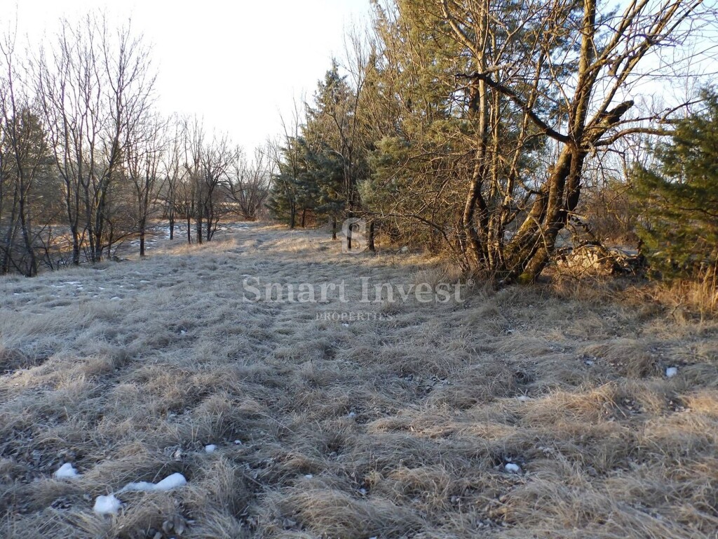 Image 6224120 - 1