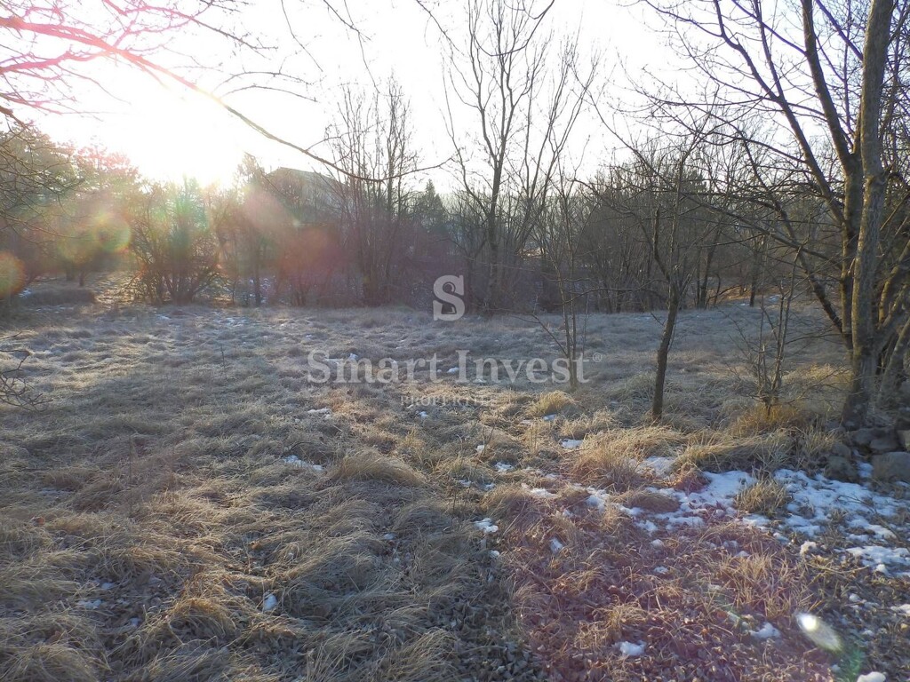 Image 6224120 - 8