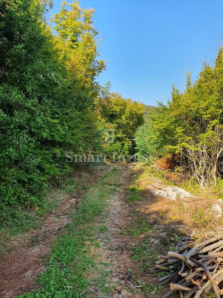 Image 6224131 - 5