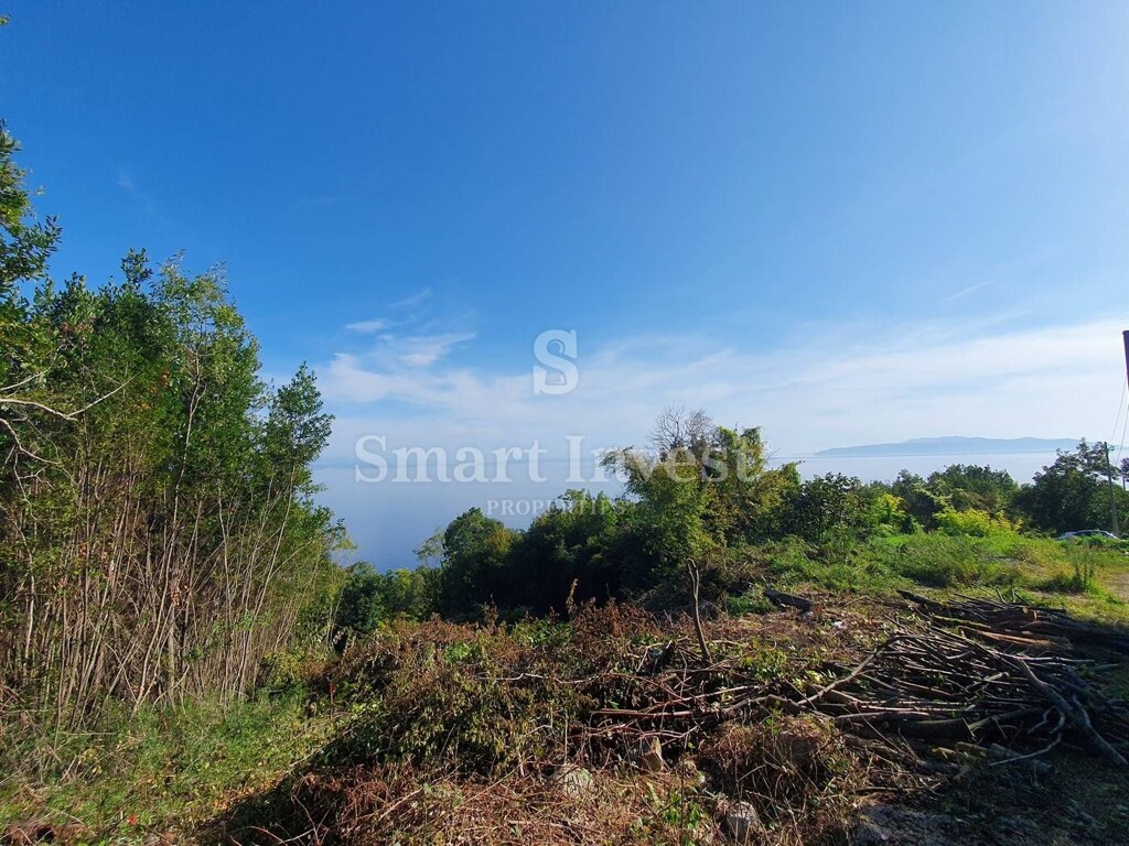 Image 6224131 - 2