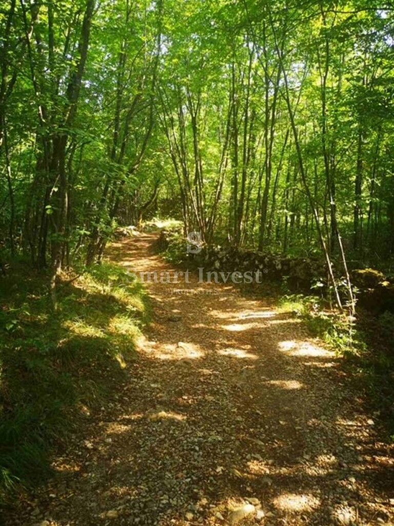 Image 6224140 - 2