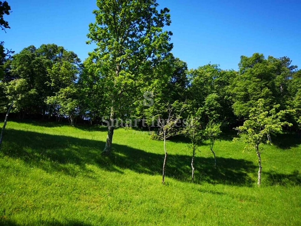 Image 6224140 - 10