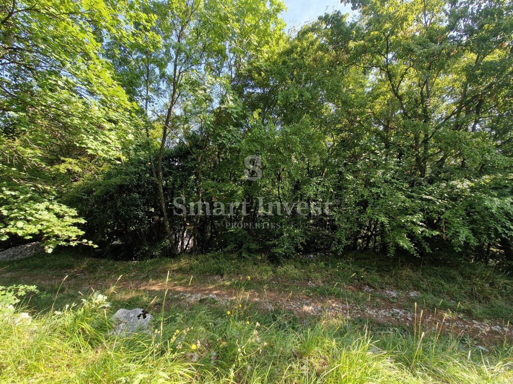 Image 6224179 - 5