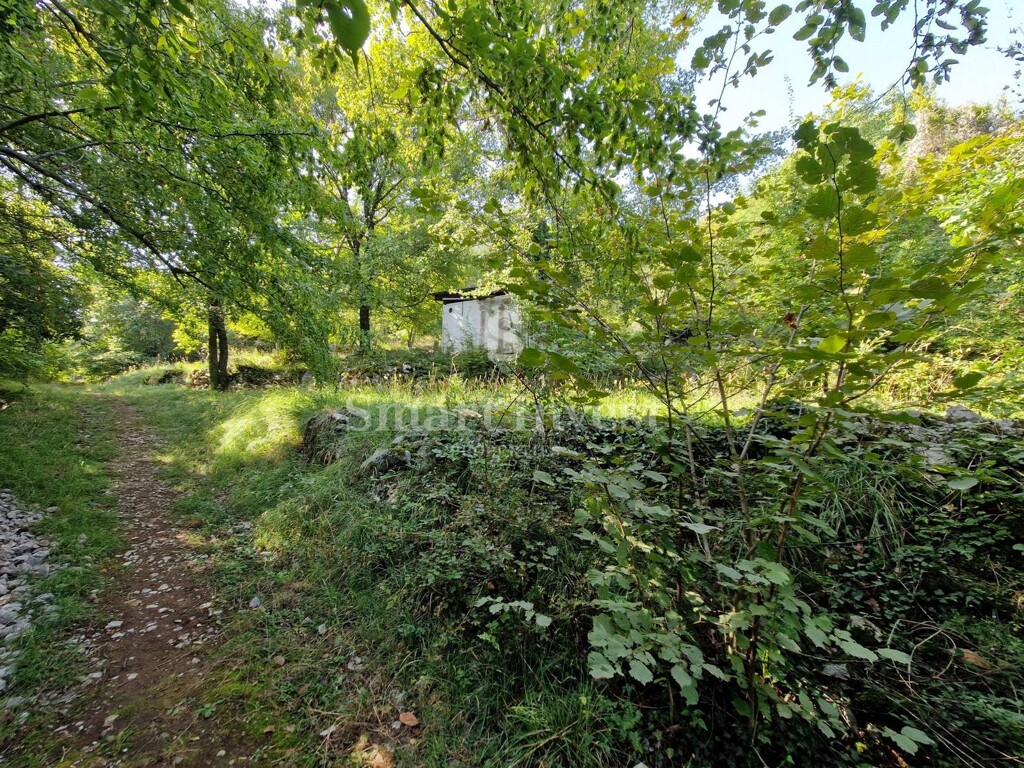 Image 6224179 - 7
