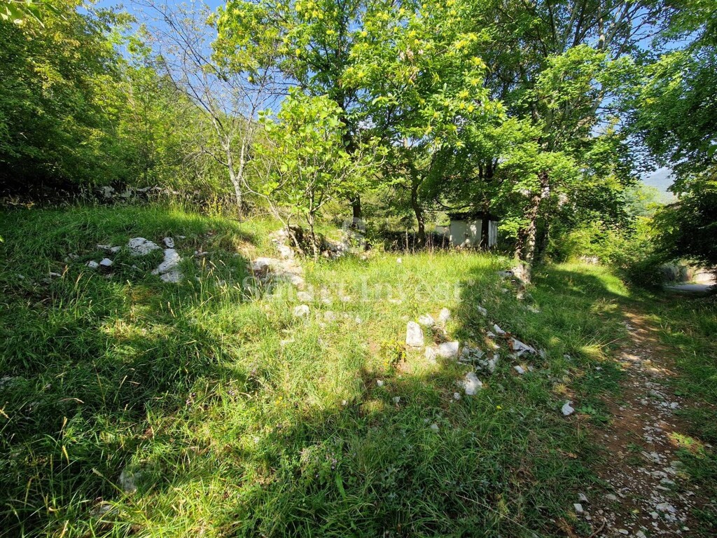 Image 6224179 - 1