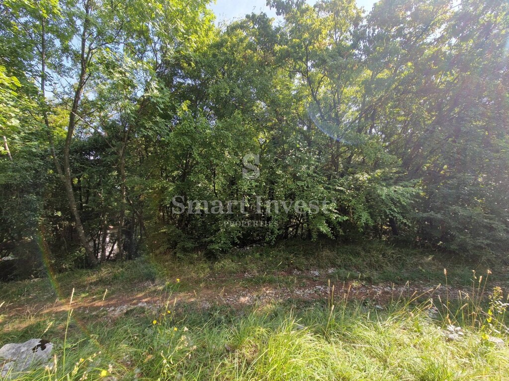 Image 6224179 - 4