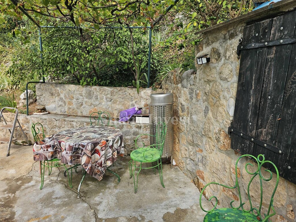 Image 6224193 - 19