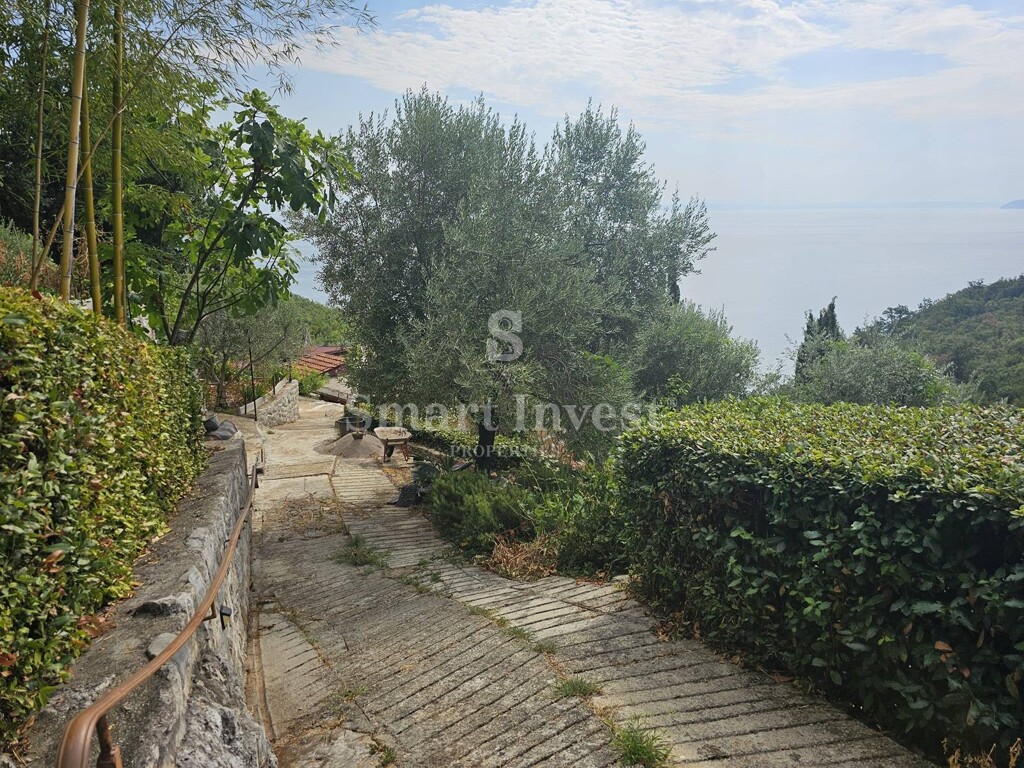 Image 6224193 - 10