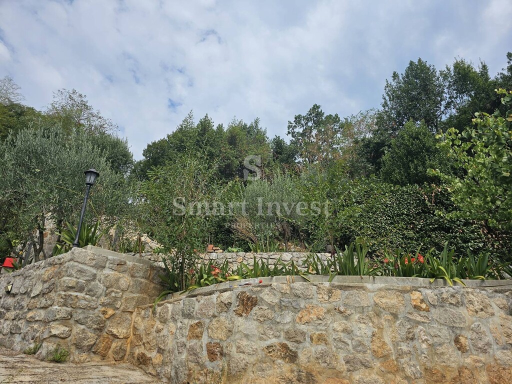 Image 6224193 - 18